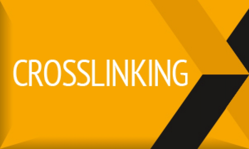Crosslinking 